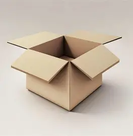 Printed Corrugated Packaging Box in Delhi